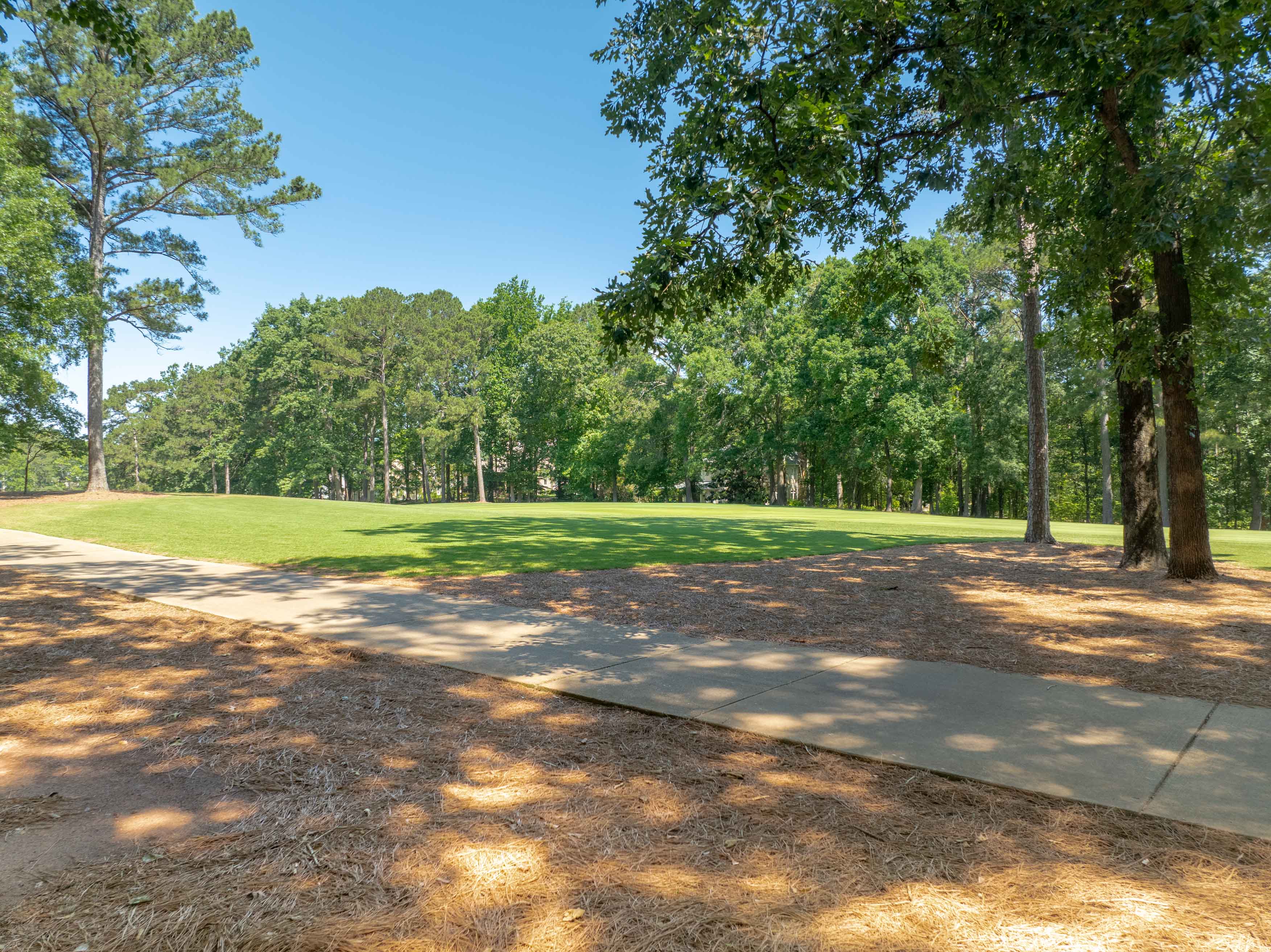 381 Reynolds Drive image 7